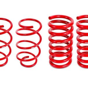 BMR Suspension Drag Lowering Springs - Rear Only (15-24 GT)