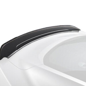 Ford Genuine Rear GT350 Track Pack Spoiler - Gloss Black (15-23)