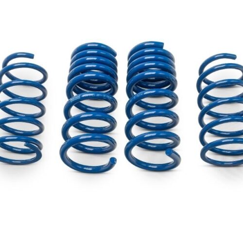 Herrod Performance S650 Lowering Spring Set (2024+)