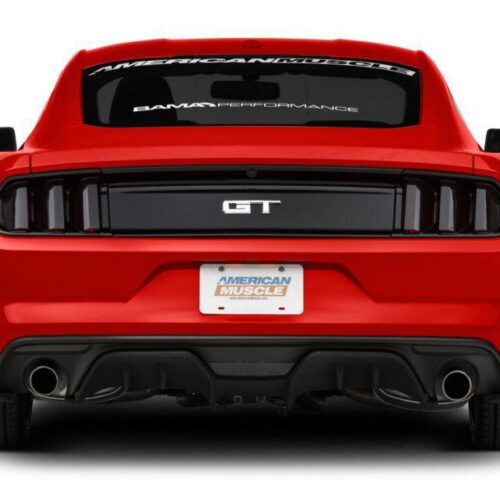 RTR Rear Diffuser (15-21)