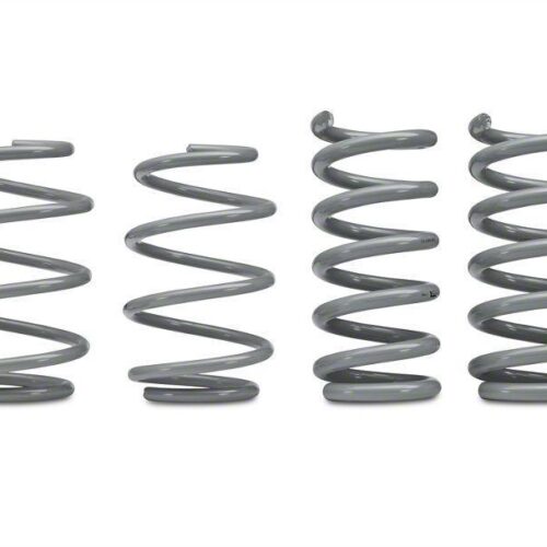 RTR Tactical Performance Lowering Springs (15-22)